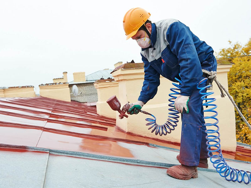 Roof Painting